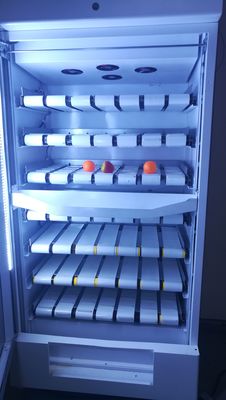 Metro Station Bakery Hot Food Vending Machines E-Wallet Opearte