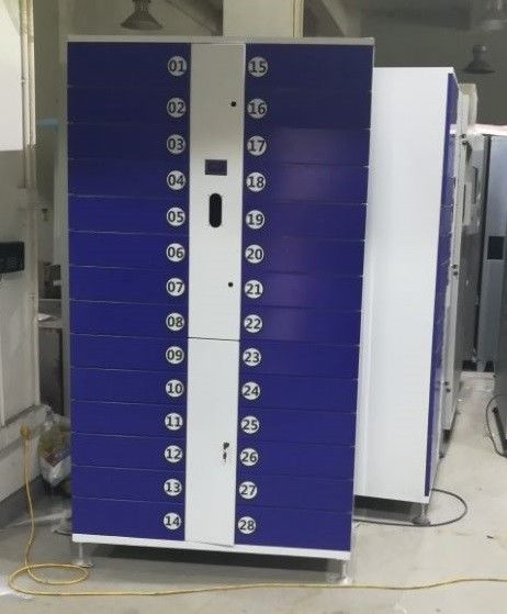Locker Cabinet Intelligent Vending Solution Bouquet Vending Machine Coin Operated